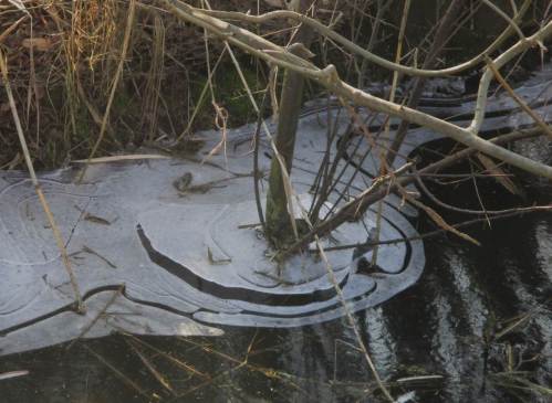 Es kracht in den Marschgräben, brechendes Eis.