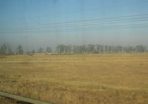 Die Eichenalleen ruhen noch.