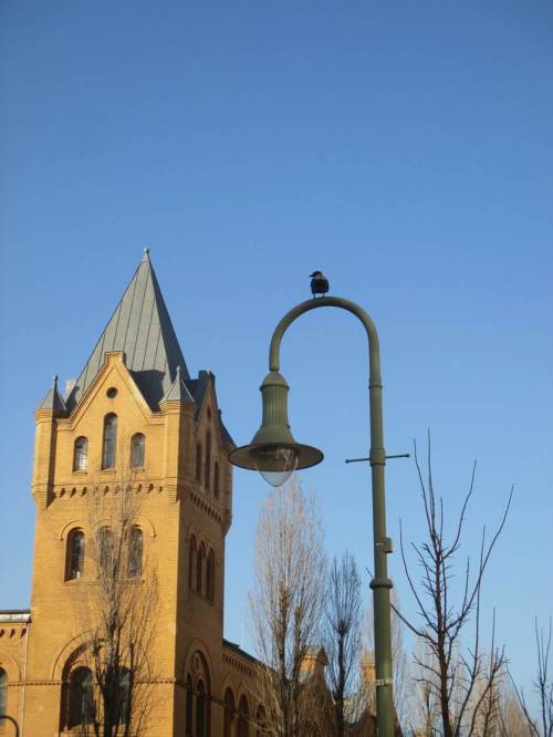 Rückweg an der Kulturbrauerei vorbei. - Morgen geht`s ins Stechlin-Ruppiner Land, gucken und vortragen.