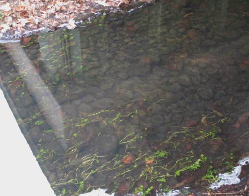 Grobgeröll unter Straßenbrücke - Restvorkommen des Bachneunauges könnten leicht gestützt werden durch ergänzendes Einbringen kleinerer Kies-Korngrössen, z.B. 8-16-32 mm.