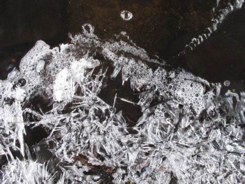 Eis-Impressionen am Bachrand.