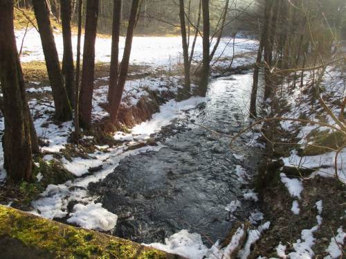 Brandenburgischer Moränenbach in schmaler Aue, Gefälle wie im waldeckischen Mittelgebirge.