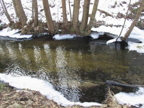 Wie überall, Problem erkennen und lösen - Strömungslenker können die versandeten Fischunterstände unter Erlenwurzeln wieder freispülen helfen.