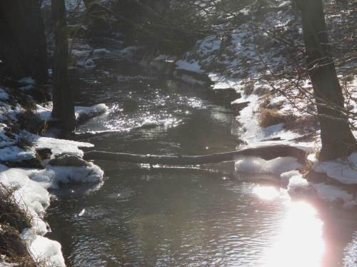 Brandenburgischer Moränenbach - Winter-Idyll.
