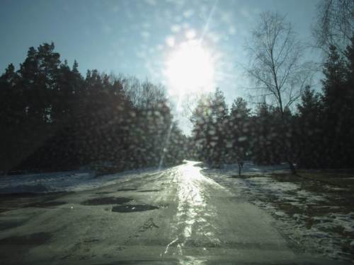 Etliche weitere Bäche fahren wir über Waldwege an.