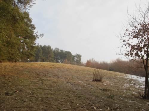 Immer wieder überrascht mich die Hügeligkeit des Moränengeländes hier.