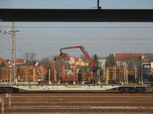 Das im Wald gesehene eingeschlagene Nadelholz begegnet mir wieder - umgeladen auf Bahn-Waggons.