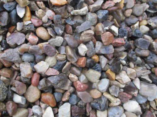 So sieht der richtige, gewaschene 16-32 mm Kies aus. Wie oft sehe ich auf "Baustellen" für die Gewässerorganismen eher ungeeignetes Material. - Wer möchte kann je nach Gewässerbeschaffenheit und Ziel noch die Fraktionen 8+ mm und / oder -64 mm dazu bestellen.