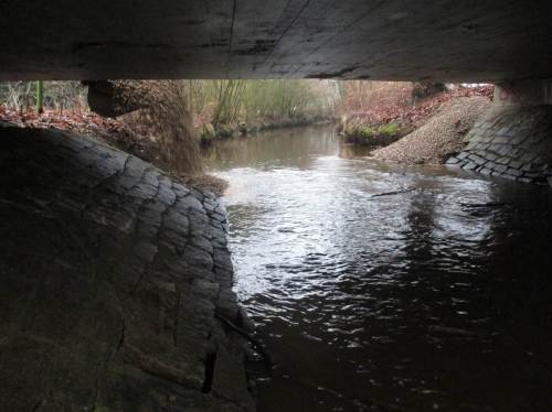 Blick auf die Arbeit aus der Otter-Perspektive.