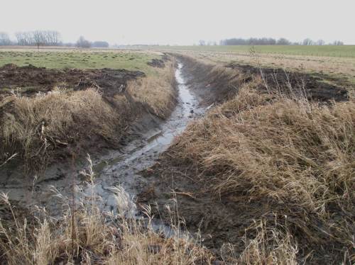 Dass die Marschgräben bis in die letzten Winkel heutzutage leerlaufen und für vielfältiges Gewässerleben heutzutage ausgefallen sind, hat allerdings mit etwas anderem zu tun. - Dazu mehr in einem späteren Blog-Beitrag.