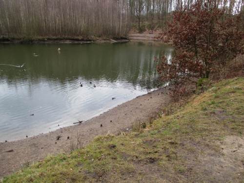 Auf der Geest zeigen stehende Gewässer das Wasserdefizit. Zwischen 0,5 und 1 m fehlen - ob die bis zum Blattaustrieb noch dem Grundwasser und auch diesen Stillgewässern zugeführt werden?