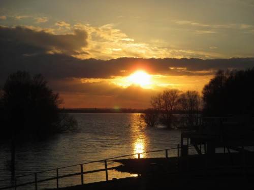 Abendsonne mit ein Bisschen überschwemmtem Auwaldrest.