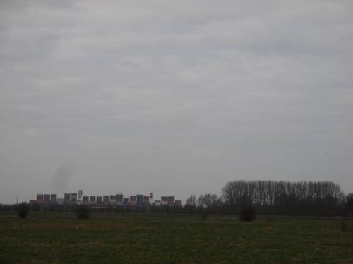 IMG_2381 - jenseits des Hauptdeichs ein 360m Klasse-Containerfrachter, daneben hoher Weiden-PappelAuwaldrest
